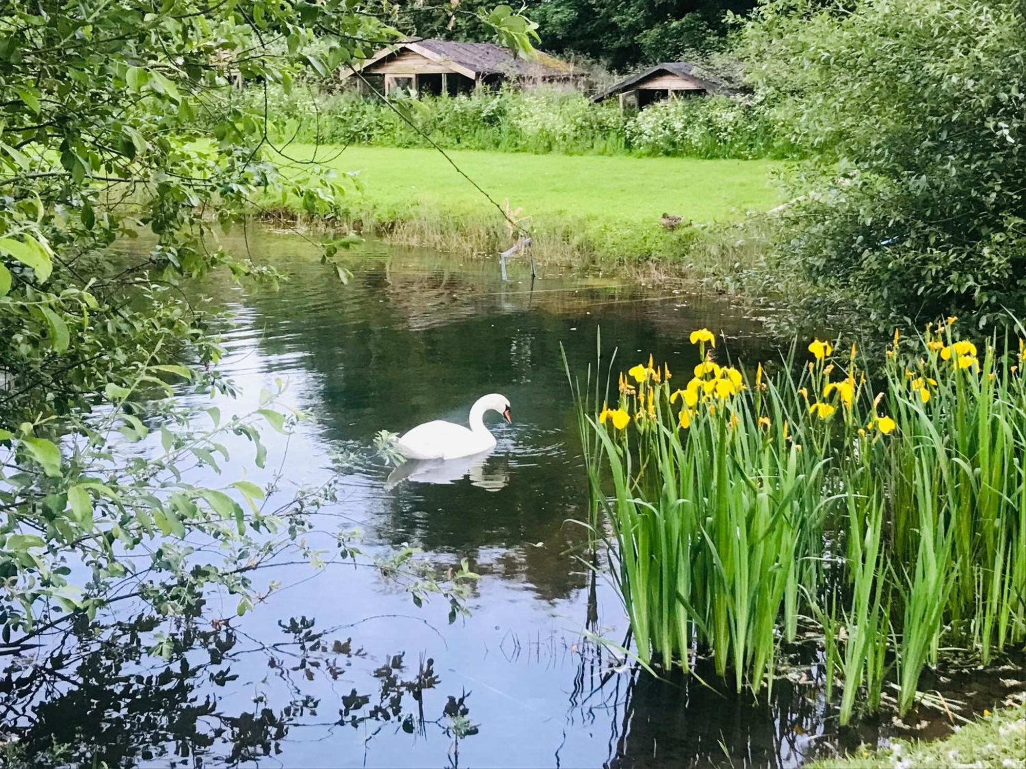 Bransford Farm Fishery & B & B エクステリア 写真
